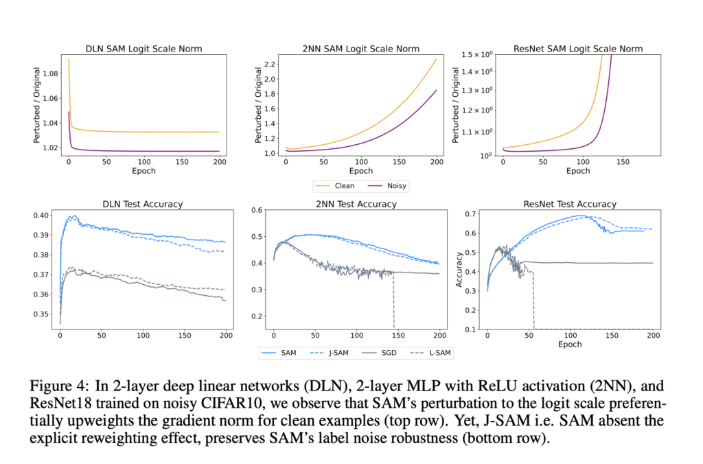 Exploring Sharpness-Aware Minimization (SAM): Insights into Label Noise Robustness and Generalization