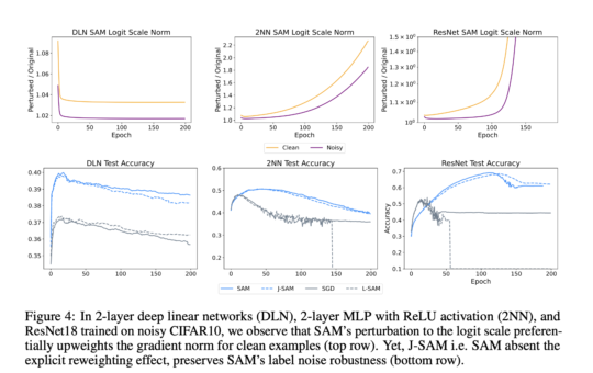 Exploring Sharpness-Aware Minimization (SAM): Insights into Label Noise Robustness and Generalization