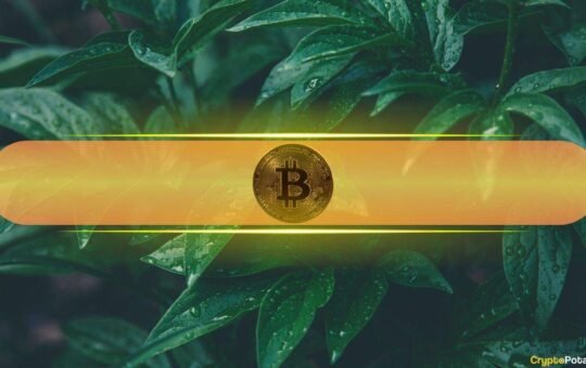 These Indicators Suggest Selling Pressure From BTC Investors May Be Waning: Bitfinex