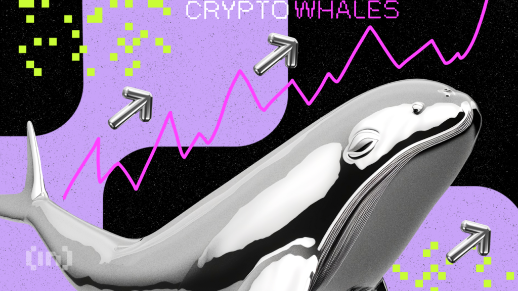 What Crypto Whales Are Buying for Potential Gains in September 2024