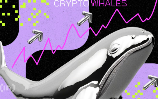 What Crypto Whales Are Buying for Potential Gains in September 2024