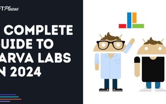 A Complete Guide to Larva Labs in 2024