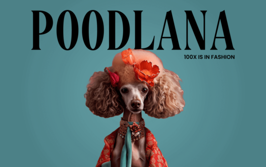 Poodlana price prediction: will it rise despite the post-presale decline?