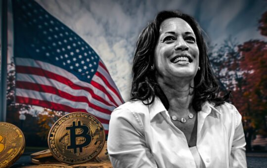 Trump’s crypto policies have potential for ‘explosive upside,’ while Harris shows ‘limited downside risk’ – Galaxy Digital