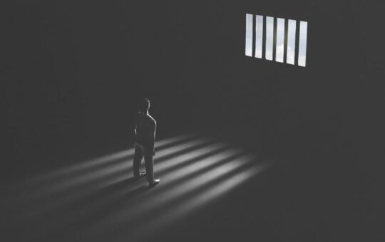 Safemoon’s Former CTO Pleads Guilty to Fraud