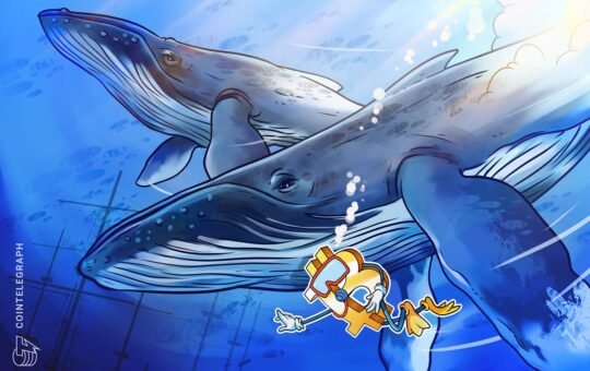 Massive Bitcoin whale buys $200M in BTC, another wakes up after 8 years