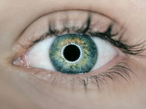 Human eye as the Fundamental AI Research (FAIR) team at Meta announces five projects advancing the company's pursuit of advanced machine intelligence (AMI) with significant boosts to enhancing perception abilities for use cases including robotics and agents.