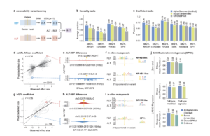 Google DeepMind Releases AlphaGenome: A Deep Learning Model that can more Comprehensively Predict the Impact of Single Variants or Mutations in DNA