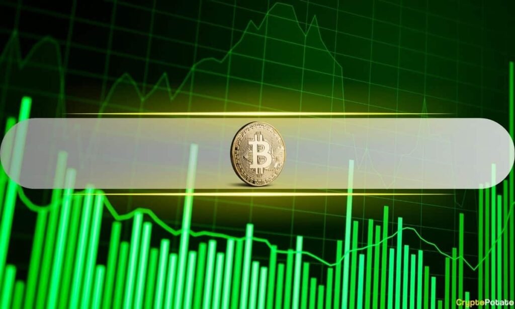 Bitcoin Bounces Back This Week, But Glassnode Sees Trouble Ahead