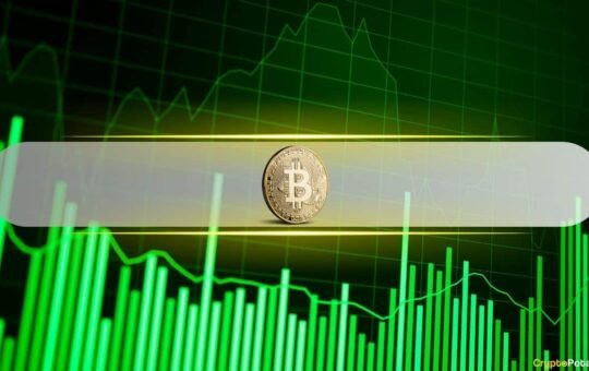Bitcoin Profit-Taking Slows as Long-Term Holders Hold Steady in August