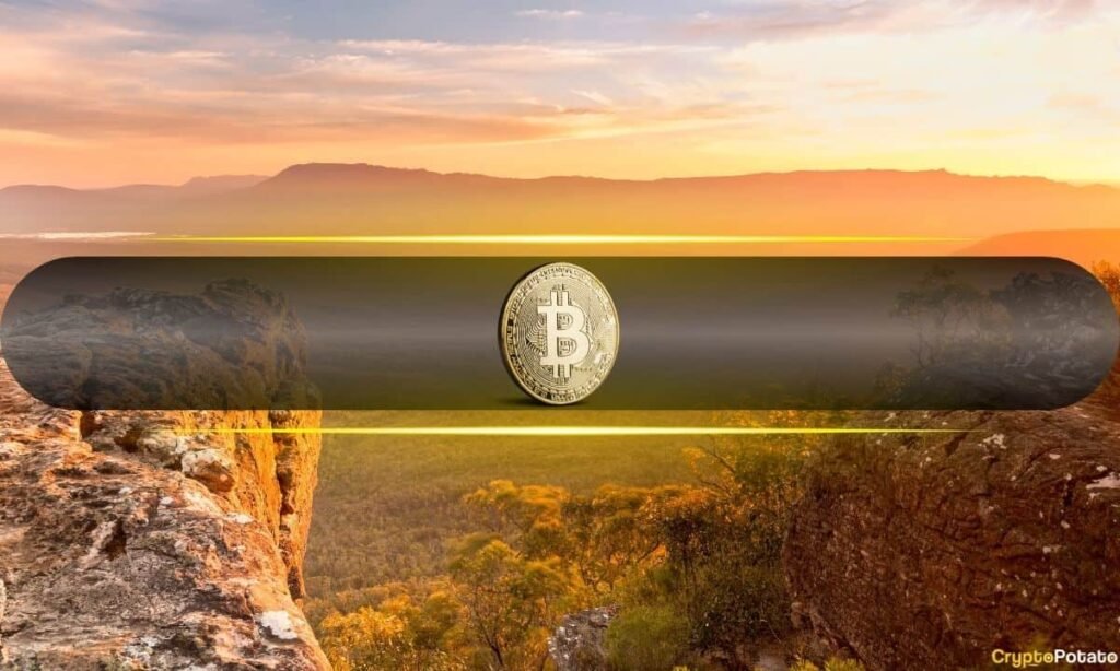 Bitcoin’s 2025 Volume Peaks Have Been the Key Buy/Sell Signals