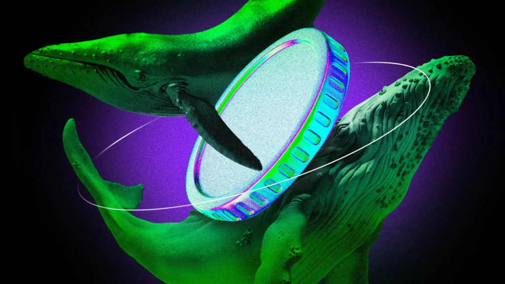 3 Altcoins Crypto Whales Are Buying After US CPI Inflation Report