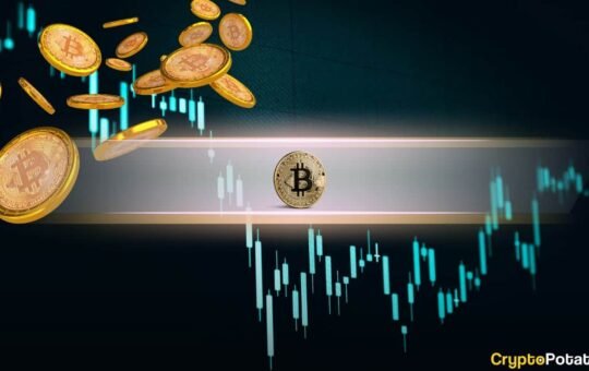 4-Year Bitcoin Cycle Is a 'Big Misunderstanding'