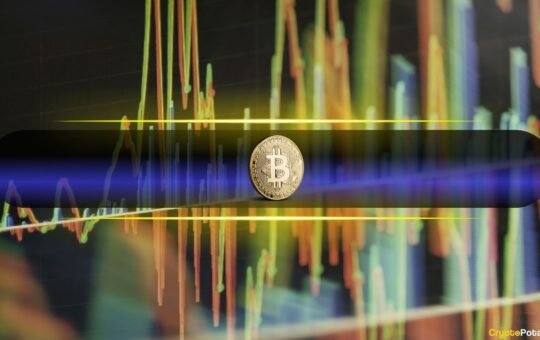 Did Bitcoin Bottom at $80K? Whale Activity Suggests More Pain Possible