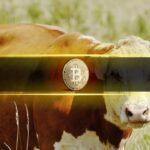 Rising Liquidity Pushes Bitcoin Into Bullish Consolidation