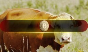 Rising Liquidity Pushes Bitcoin Into Bullish Consolidation
