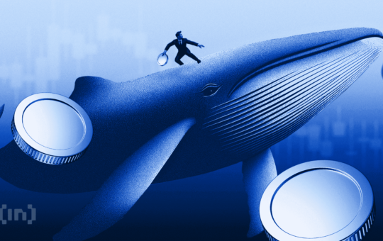 BMNR Price Eyes 55% Breakout as Tom Lee Buys More ETH