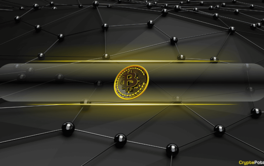 How Prospect Theory Explains Investor Panic and Losses