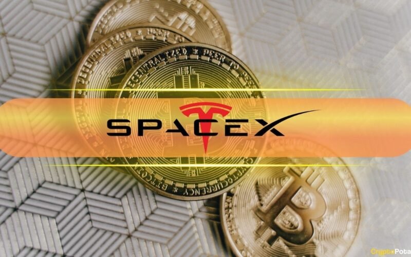 SpaceX, BlackRock Shift $296M in Bitcoin: Sell-Off Signal Ahead?