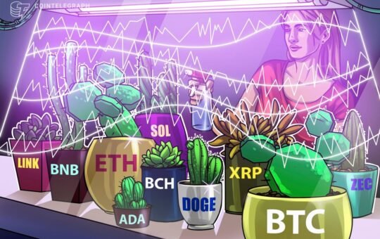 Price predictions 1/2: BTC, ETH, BNB, XRP, SOL, DOGE, ADA, BCH, LINK, ZEC