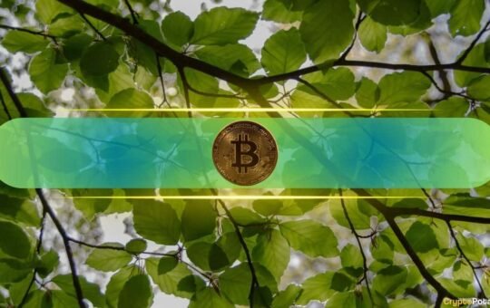 BSC Fees Hit Multi-Month Lows as History Signals Bitcoin Rebound Ahead