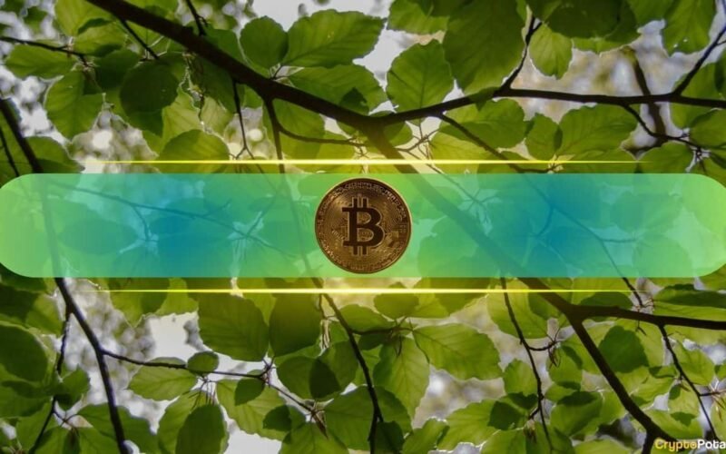 BSC Fees Hit Multi-Month Lows as History Signals Bitcoin Rebound Ahead