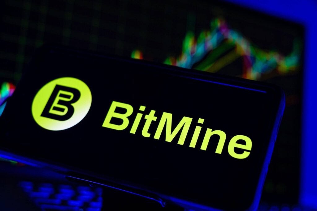 Bitmine Buys 20,000 ETH During Market Panic, Defies Bearish Sentiment