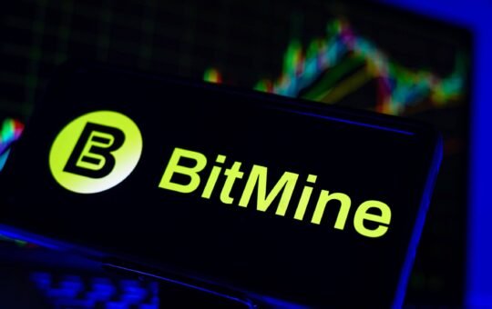 Bitmine Buys 20,000 ETH During Market Panic, Defies Bearish Sentiment