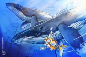"New" Bitcoin Whale Losses Deepen as Binance Inflows Rise