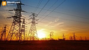 Differently Secured: Bitlease Founder Nima Beni on Why Falling Hashrates Aren’t a Threat