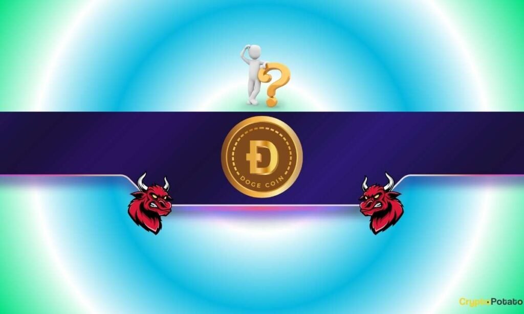 Crash or Rally Comes Next?